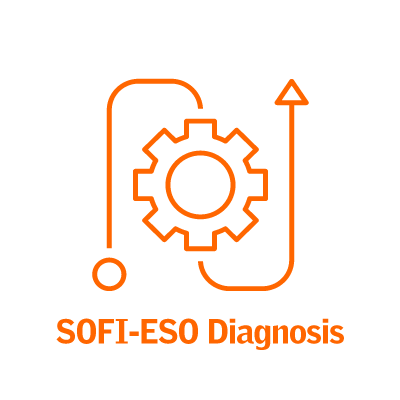 SOFI-ESO Diagnosis